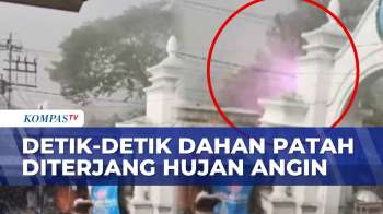 Ngeri! Dahan Patah Diterjang Hujan Petir Di Solo, Kena Kabel Listrik Hingga Meledak | SAPA PAGI