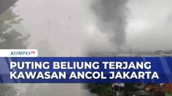Detik-Detik Puting Beliung Terjang Kawasan Ancol Jakarta: Pohon Tumbang, Tenda Taman Roboh