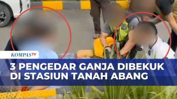 Tiga Pengedar Narkoba Ditangkap di Halaman Parkir Stasiun Tanah Abang, 15,5 KG Ganja Disita
