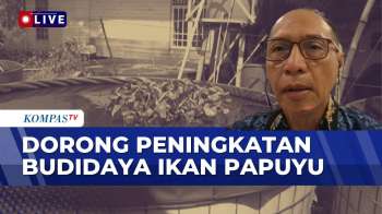 [FULL] Kepala Dinas DKPP Kab Banjar Bahas Soal Potensi Budidaya Ikan Papuyu | JURNAL NUSANTARA