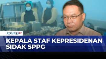 Kepala Staf Kepresidenan Sidak Dapur MBG di Jakarta Barat, Soroti Sanitasi & Kebersihan
