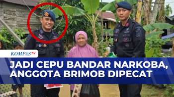 Anggota Brimob Dipecat Usai Terlibat Sindikat Narkoba di Samarinda |BORGOL