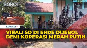 Viral! SD Di Ende Dijebol Demi Akses Proyek Koperasi Desa Merah Putih, Teras Hingga Tiang Rusak