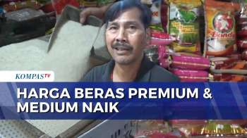 Harga Beras Premium Di Balikpapan Tembus Rp91.000 Per 5 Kg, Kelangkaan Pasokan Jadi Pemicu