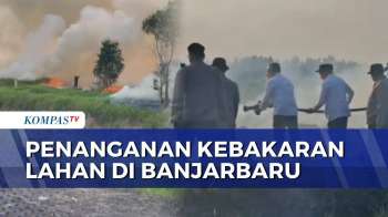 Karhutla Di Banjarbaru: Lebih Dari 50 Hektar Terdampak, Api Makin Mendekati Permukiman