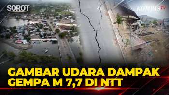 Gambar Udara Dampak Gempa di NTT: Jalanan Retak, Akses Tertutup Lumpur Gegara Gelombang Tsunami
