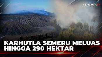 Meluas Hingga 290 Hektar, Karhutla Semeru Hanguskan Vegetasi Jalur Pendakian | KOMPAS PETANG