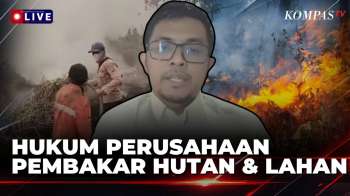 [FULL] Soal Penegakan Hukum Perusahaan yang Terlibat Karhutla, Begini Respons Greenpeace Indonesia