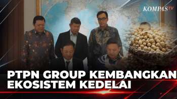Kurangi Ketergantungan Impor, PTPN Group Kembangkan Ekosistem Kedelai Nasional | SAPA PAGI