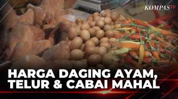 Harga Daging Ayam Dan Telur Masih Mahal, Cabai Rawit Merah Tembus Rp85.000 Per Kg | KOMPAS SIANG