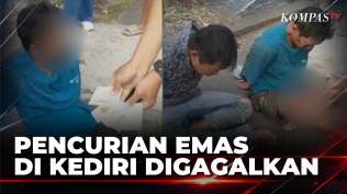 pencurian-emas-di-kediri-gagal-suami-korban-tabrak-pelaku-borgol