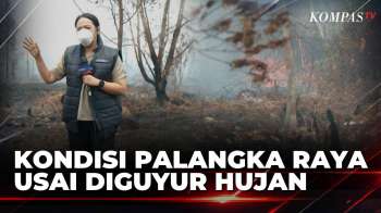 Diguyur Hujan Selama 2 Hari, Kabut Asap Karhutla Di Palangka Raya Menipis | KOMPAS SIANG