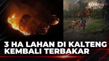 Angin Kencang Picu Karhutla Meluas di Kalteng, 3 Hektare Terbakar | KOMPAS SIANG