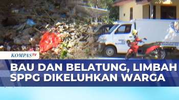 Warga Jember Keluhkan Limbah SPPG, Bau, Belatung, Dan Lalat Muncul Dekat Permukiman | SAPA SIANG