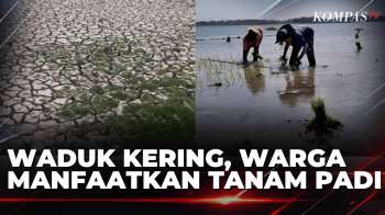 Kemarau Panjang, Dasar Waduk Di Boyolali Berubah Jadi Lahan Pertanian | SAPA SIANG