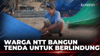 Pascagempa NTT, Warga Reok Bangun Tenda Sendiri Untuk Tempat Berlindung | KOMPAS MALAM