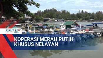 Nelayan Aceh Dukung Koperasi Merah Putih