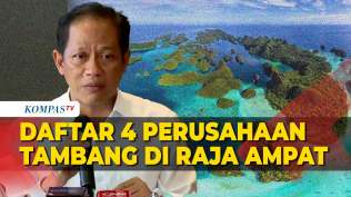 menteri-lh-beber-4-perusahaan-tambang-nikel-di-raja-ampat-terkait-kasus-pencemaran-lingkungan