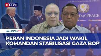 Indonesia Ditunjuk Jadi Wakil Komandan ISF Di Gaza, Apa Peran Strategisnya? Ini Kata Pakar HI & DPR