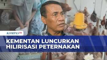 Kementan Luncurkan Program Hilirisasi Peternakan, BUMN Yang Akan Produksi Pakan & Bibit Unggul