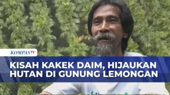 Patut Ditiru! Kisah Kakek Daim Hijaukan Gunung Lemongan, Hutan Pulih Dan Banjir Hilang