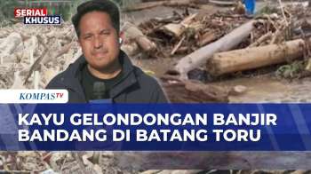 Kondisi Batang Toru Terkini: Kayu Gelondongan Masih Berserakan Usai Banjir Bandang, Sungai Bergeser?