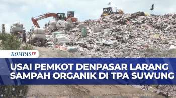 Pemkot Denpasar Larang Sampah Organik di TPA Suwung, Sopir Truk Sampah Ungkap Dampaknya