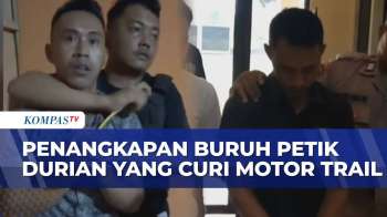 Terdesak Ekonomi, Buruh Petik Durian di Lampung Nekat Curi Motor Trail | KOMPAS MALAM