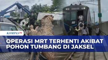 MRT Jakarta Lumpuh Akibat Pohon Tumbang: Mobil Turut Tertimpa, Penumpang Dievakuasi