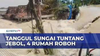 Akibat Tanggul Sungai Tuntang Di Demak Jebol: 4 Rumah Rata Dengan Tanah, Ratusan Terendam