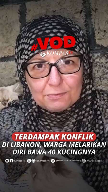 TERDAMPAK KONFLIK DI LIBANON, WARGA MELARIKAN DIRI BAWA 40 KUCINGNYA