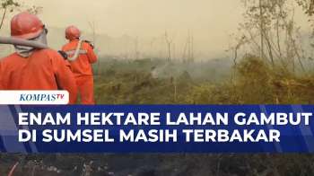 Kebakaran Lahan Gambut Enam Hektare Di Ogan Komering Ilir, Tim Gabungan Terus Padamkan Api