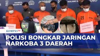 Polisi Ungkap Kasus Narkoba Di Malang, Jakarta, Dan Pangkalpinang, Delapan Pelaku Ditangkap | BORGOL
