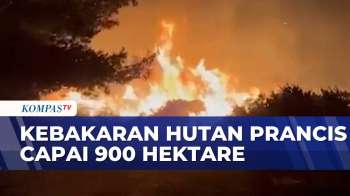 Kebakaran Hutan Di Prancis Hanguskan Lebih Dari 900 Hektare, Pemadaman Terus Berlangsung | SAPA PAGI