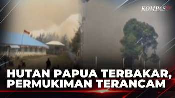 RSUD Dikepung Api! Pasien Di Puncak Papua Dievakuasi Akibat Kebakaran Hutan | KOMPAS PETANG