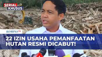 Terbaru! Kemenhut Cabut 22 PBPH Dan Audit PT Toba Pulp Lestari Buntut Bencana Sumatera