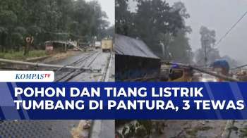 3 Orang Tewas Tertimpa Pohon Tumbang & Tiang Listrik Roboh Di Pantura | SAPA SIANG