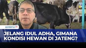 [FULL] Pemprov Jateng Perketat Pengawasan Penyakit Mulut Dan Kuku Hewan Kurban