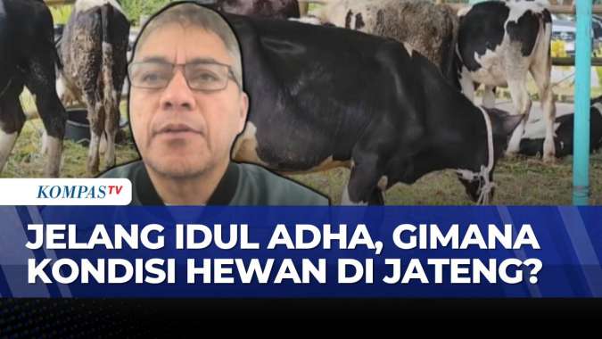 Pemprov Jateng Perketat Pengawasan Penyakit Mulut dan Kuku pada Hewan Kurban 2026
