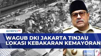 Wagub DKI Jakarta Tinjau Kebakaran Yang Hanguskan Rumah Di Kemayoran Gempol | KOMPAS SIANG