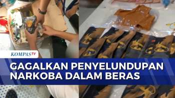 Polisi Tangkap Penyelundupan Narkoba Dalam Di Dalam Kemasan Beras | BORGOL