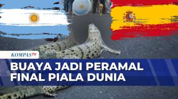 Prediksi Tak Biasa! Buaya Beben Pilih Argentina Di Final Piala Dunia 2026 | KOMPAS MALAM