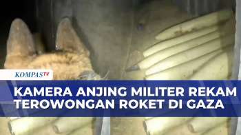Rekaman Anjing Militer Israel Tunjukkan Terowongan Berisi Puluhan Roket Di Gaza | KOMPAS PAGI