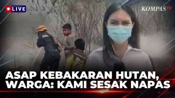 Asap Karhutla Kalimantan, Warga Banjarbaru Keluhkan Mata Perih Hingga Sesak Napas | KOMPAS SIANG