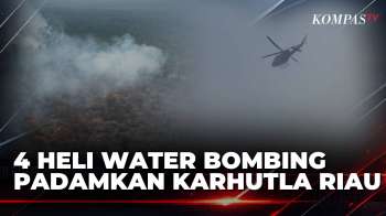 Karhutla Di Pelalawan Riau Meluas, 4 Heli Water Bombing Dikerahkan Padamkan Api | KOMPAS PETANG