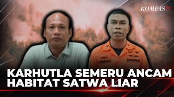Karhutla Bakar Hutan Di Jawa Timur Dan Sulawesi Tengah, Semeru Capai 290 Hektare | SAPA MALAM