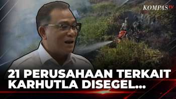 Pemerintah Segel 21 Perusahaan Di 7 Provinsi Buntut Kebakaran Hutan Dan Lahan | KOMPAS SIANG