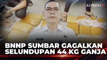 BNNP Sumbar Gagalkan Peredaran 44 Kg Ganja Lintas Provinsi, 2 Kurir Ditangkap | SAPA MALAM