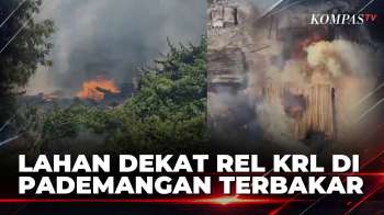 Kebakaran Lahan Dekat Rel RL Di Pademangan | SAPA MALAM