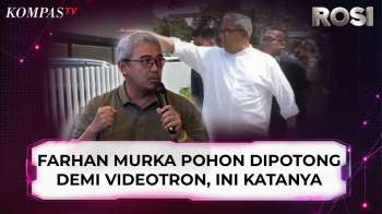 Viral Video Walkot Bandung Farhan Murka Pohon Dipotong demi Videotron, Ini Penjelasannya | ROSI